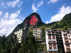 -长寿村