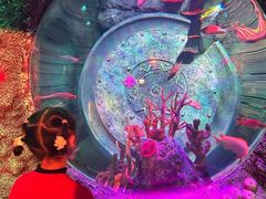 -沈阳海洋探索中心