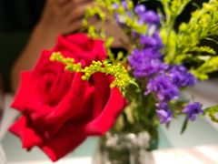 -蜜桃花开·中西融合菜E&W(南长街店)