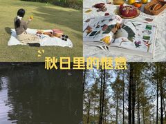-牛岗山公园