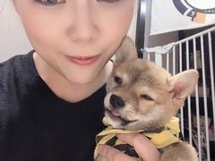 -逗柴咖啡屋·狗咖猫咖宠物桌游