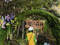 -龙湾潭国家森林公园