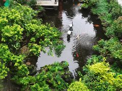 -北园酒家(小北路店)