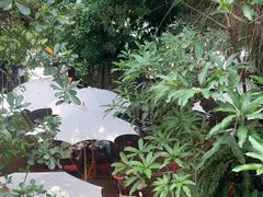 -Fern Forest Cafe