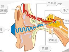 -自然之声助听器·呼吸机(东风大街店)