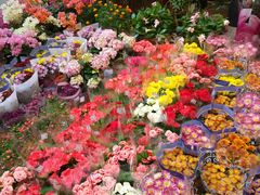 -双季花艺园艺市场(浦东店)