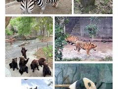 -深圳野生动物园