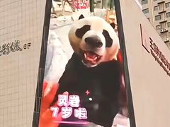 -栾川竹海野生动物园