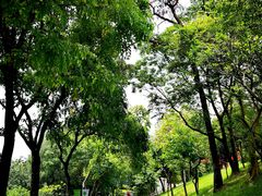 -广州雕塑公园