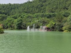 -广州白江湖森林公园