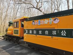 -合肥滨湖国家森林公园