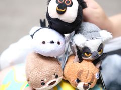 -红山森林动物园