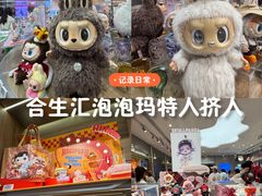 -泡泡玛特POPMART(合生汇店)