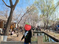 -春风习习