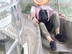 -荔江湾景区