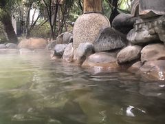 -张家港金凤凰度假村温泉