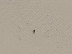 -晨枫酒店(苏州观前步行街店)