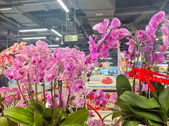 -山姆会员商店(上海浦东店)
