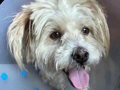 -贝康宠物医院·犬猫全科·小动物特色诊疗中心(东环路店)