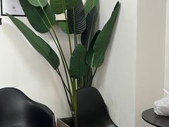 -红像馆连锁精致证件照职场照(中关村店)