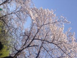 iphone_upload_pic-晴川假日酒店·宴会厅·会议厅