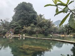 -靖西鹅泉风景区