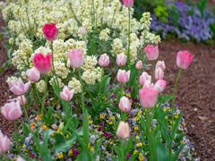 -共青国家森林公园-售票处