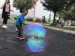-飞来湖湿地公园