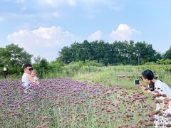 -云漫湖生态度假公园