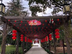 -白马涧龙池景区