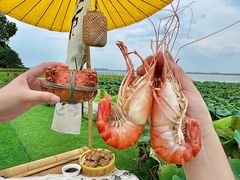 -七的湖·晚芳亭·阳澄湖农家菜·大闸蟹(莲花岛店)