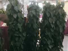 -九头鸟酒家(东高地店)
