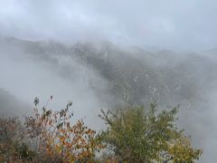 -大岭沟猕猴桃谷风景区