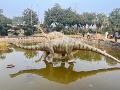 -自贡恐龙博物馆