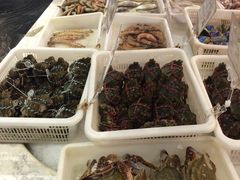 -渔人码头(中南店)