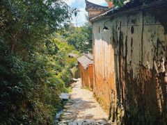 -杨家堂村