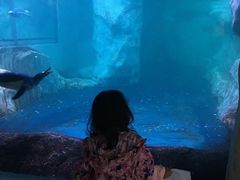 -暹罗海洋世界