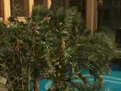 -上海浦东星河湾酒店