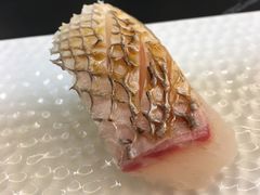 真鲷寿司-Sushi Hanzo半藏(天环广场店)