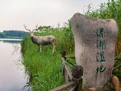-溱湖国家湿地公园