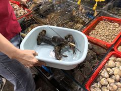 -船奇蒸汽海鲜·闽菜(八市海鲜总店)