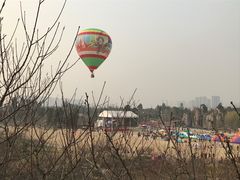 -秀丽东方