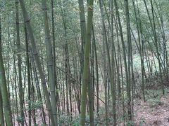 -太湖源风景区