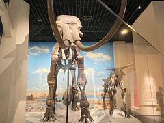 -国家自然博物馆