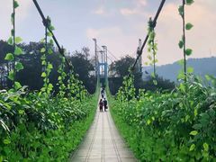 -石燕湖生态旅游景区