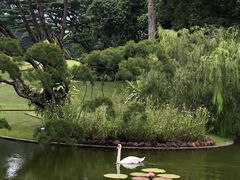 -新加坡总统府
