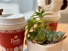 -Peet's Coffee皮爷咖啡(新天地黑标店)