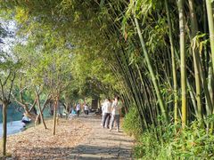 -贵阳市花溪国家城市湿地公园