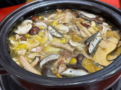 -菌之家·专业纯野生菌火锅·特色炒菌