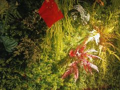 -梨花自助烤肉(乐宾店)